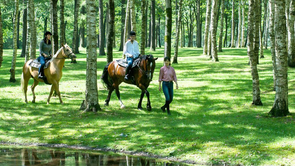 Du khách trải nghiệm cưỡi ngựa tại Northe Horse Park