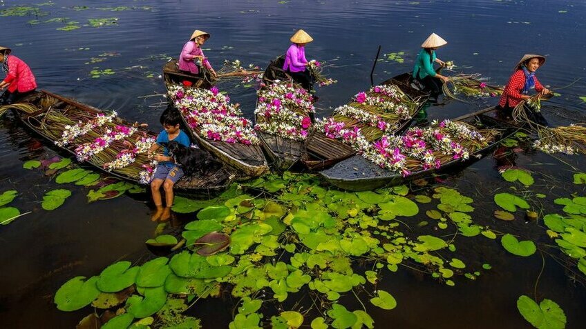 Tour 8 Tỉnh Miền Tây 4 Ngày 3 Đêm | Khám Phá Chợ Nổi Cái Răng – Mũi Cà Mau | Vietpower Travel