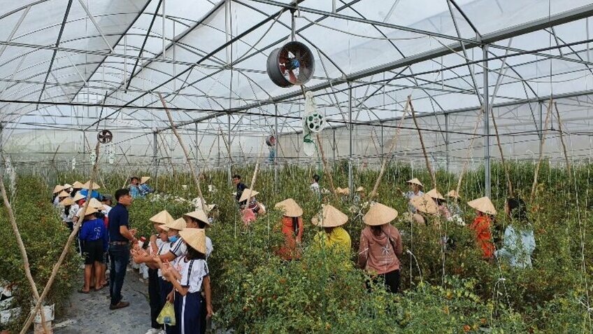 Tour 8 Tỉnh Miền Tây 4 Ngày 3 Đêm | Khám Phá Chợ Nổi Cái Răng – Mũi Cà Mau | Vietpower Travel
