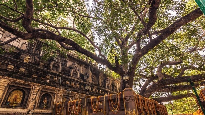 Tour hành hương Ấn Độ Nepal 10 ngày 9 đêm | Chiêm bái Tứ Động Tâm cùng Vietpower