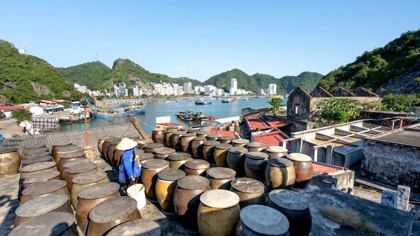 Tour Cát Bà 3 Ngày 2 Đêm Team Building | Khám Phá Vịnh Lan Hạ Cùng Vietpower