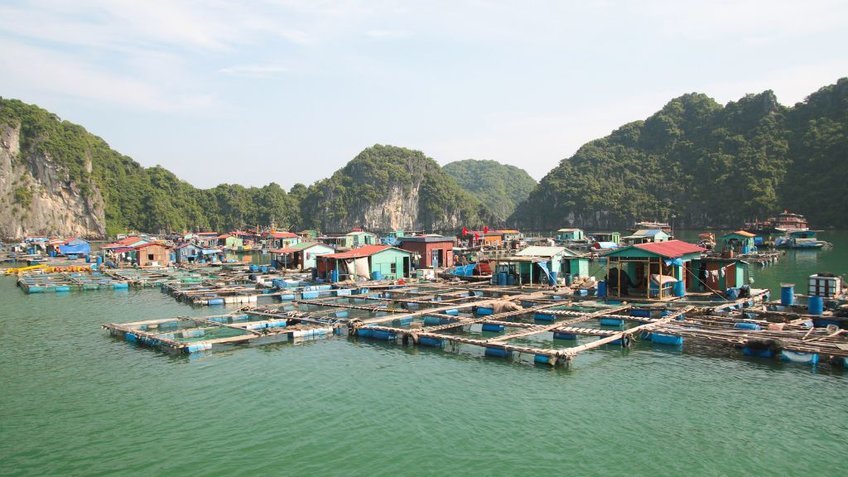 Tour Cát Bà 3 Ngày 2 Đêm Team Building | Khám Phá Vịnh Lan Hạ Cùng Vietpower