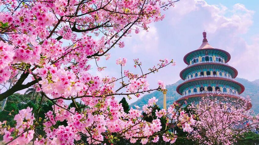 Tour Đài Loan 5 Ngày 4 Đêm | Đào Viên – Đài Trung – Nam Đầu – Cao Hùng | Bay Starlux Airlines