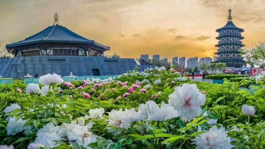 Tour Trung Quốc 7 Ngày 6 Đêm | Vũ Hán - Khai Phong - Lạc Dương - Hoa Sơn - Tây An No Shopping