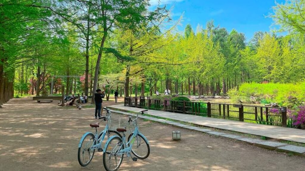 Đảo Nami Thiên đường check in Hàn Quốc