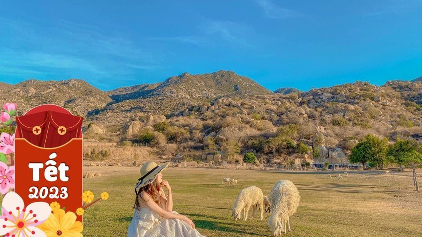 Tour Ninh Thuận 3 Ngày 2 Đêm Tết 2026 | Hang Rái - Vĩnh Hy - Tanyoli | Vietpower Travel