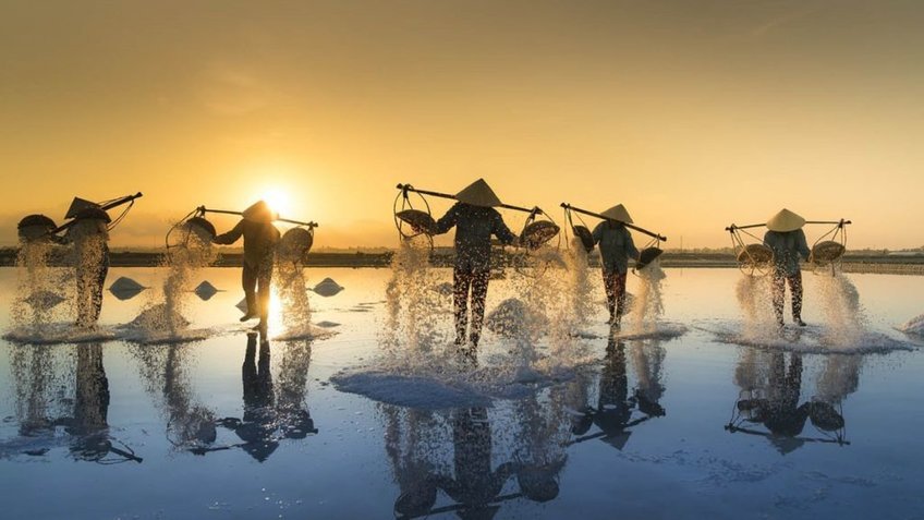 Tour Ninh Thuận 3 Ngày 2 Đêm Tết 2026 | Hang Rái - Vĩnh Hy - Tanyoli | Vietpower Travel