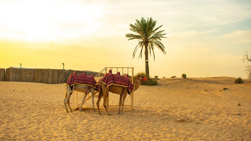 Tour Dubai từ Hà Nội 6 Ngày 5 Đêm | Khám Phá Dubai & Abu Dhabi Trọn Gói