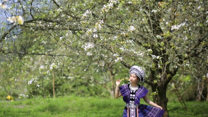 Khám phá Tour tết 5N4Đ: Cao Bằng - Trà Lĩnh