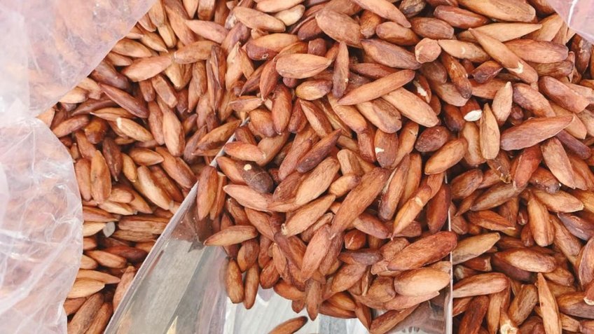 Khám phá vẻ đẹp hoang sơ Côn Đảo 3N2Đ