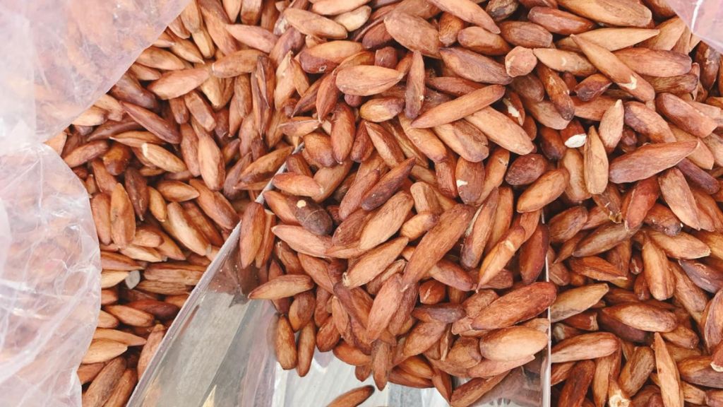 Đặc sản mứt hạt bàng Côn Đảo