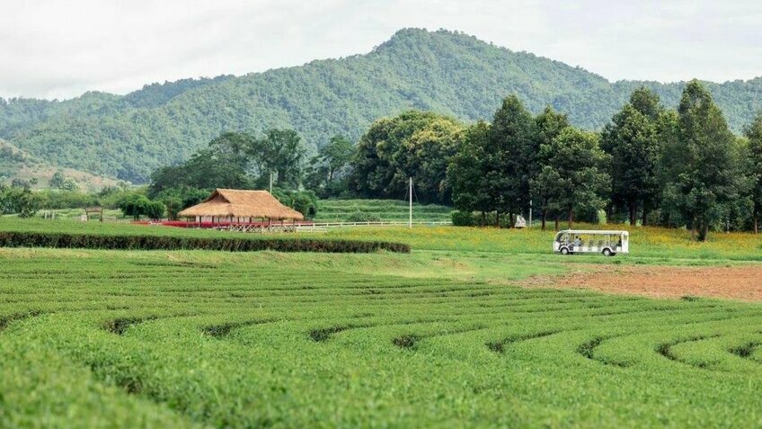 Khám Phá Vẻ Đẹp Phương Bắc Thái Lan: Chiang Mai – Chiang Rai - Suối khoáng nóng Mae Khachan (No Shopping)