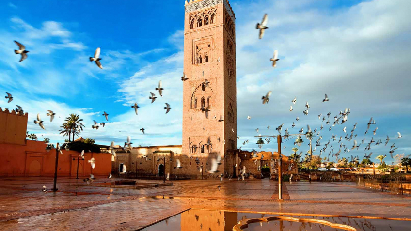 Tour Maroc 9 Ngày 8 Đêm | Casablanca – Marrakech – Fez | Trải Nghiệm Sa Mạc Sahara