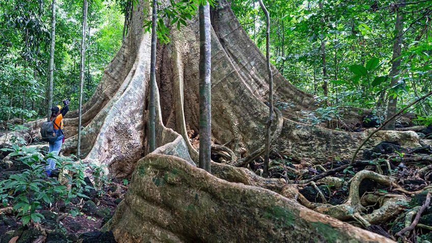 Lạc bước rừng Cát Tiên: Trekking Bàu Sấu 2N1Đ (Từ Hồ Chí Minh)