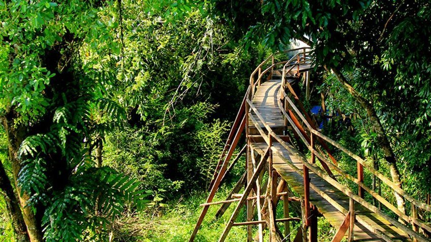 Lạc bước rừng Cát Tiên: Trekking Bàu Sấu 2N1Đ (Từ Hồ Chí Minh)