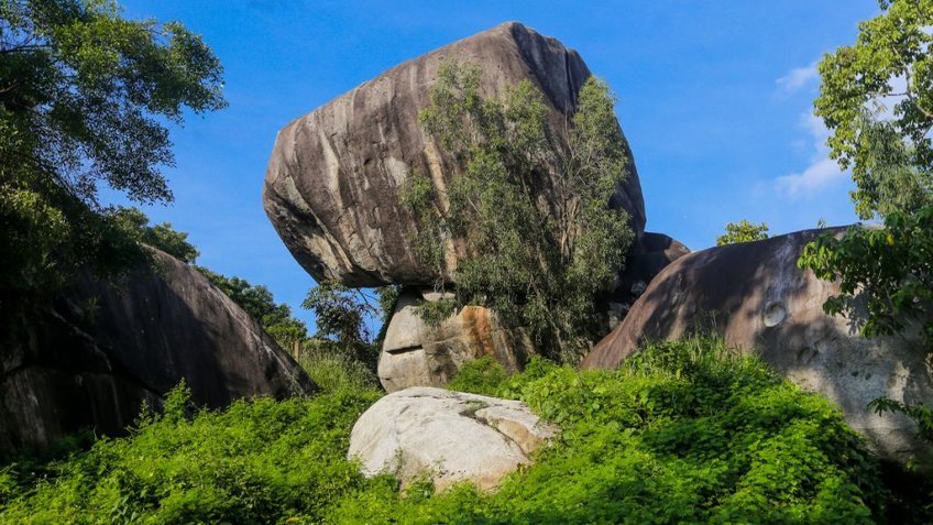 Lạc bước rừng Cát Tiên: Trekking Bàu Sấu 2N1Đ (Từ Hồ Chí Minh)