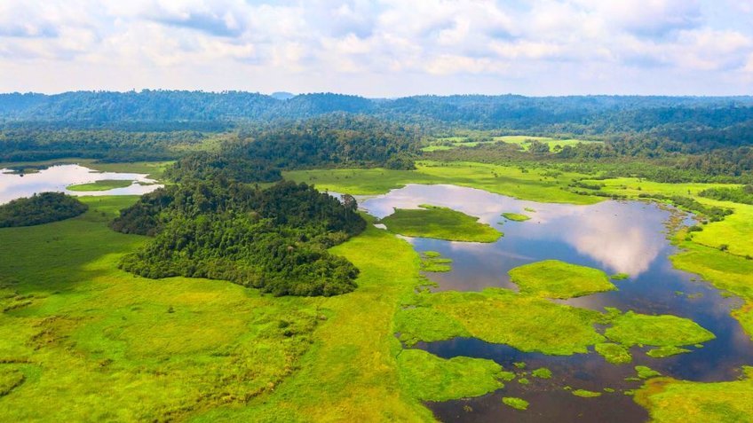 Lạc bước rừng Cát Tiên: Trekking Bàu Sấu 2N1Đ (Từ Hồ Chí Minh)