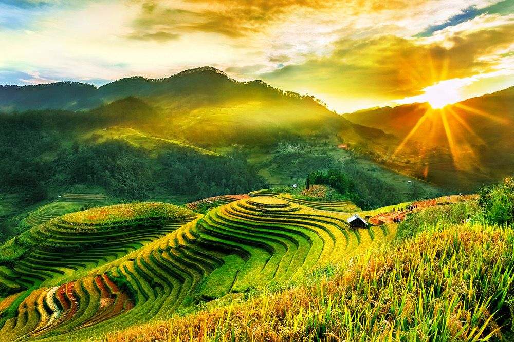 Tour Y Tý 4 Ngày 3 Đêm Từ TP.HCM | Săn Mây Ngải Thầu - Lũng Pô - Mường Hum