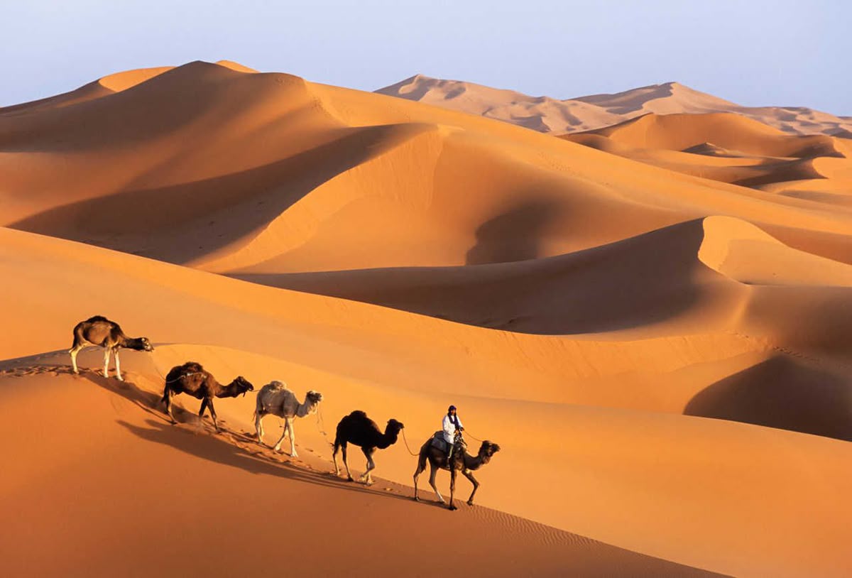 Tour Maroc 9 Ngày 8 Đêm | Casablanca – Marrakech – Fez | Trải Nghiệm Sa Mạc Sahara