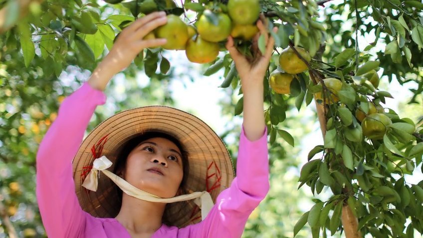 Tour Miền Tây Cà Mau 3 Ngày 2 Đêm từ Hồ Chí Minh | Chợ Nổi Cái Răng - Đất Mũi | Vietpower Travel