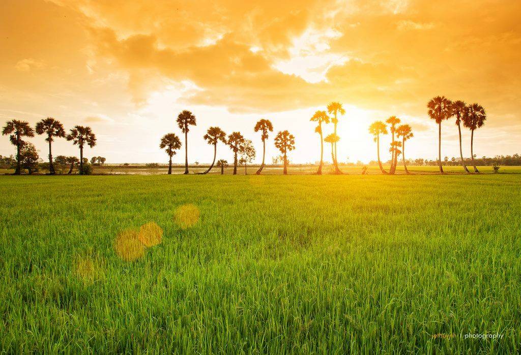 Tour Miền Tây Sông Nước 4 Ngày 3 Đêm | Mỹ Tho - Châu Đốc - Cần Thơ - Cà Mau | Vietpower Travel
