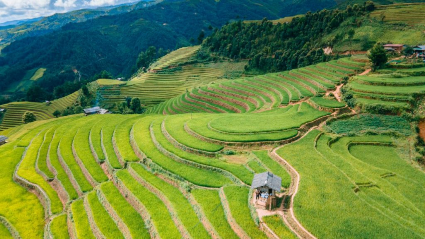Mù Cang Chải - Đèo Khau Phạ - Tú Lệ - Trạm Tấu 3N2Đ