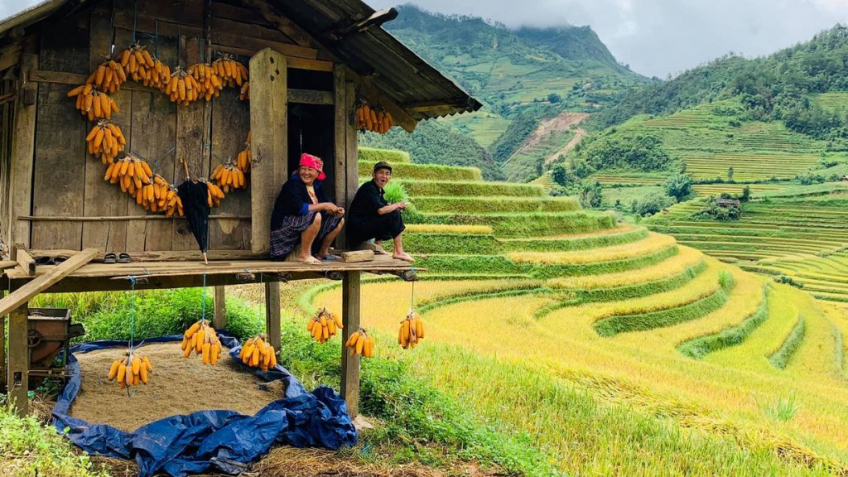 Mù Cang Chải - Đèo Khau Phạ - Tú Lệ - Trạm Tấu 3N2Đ