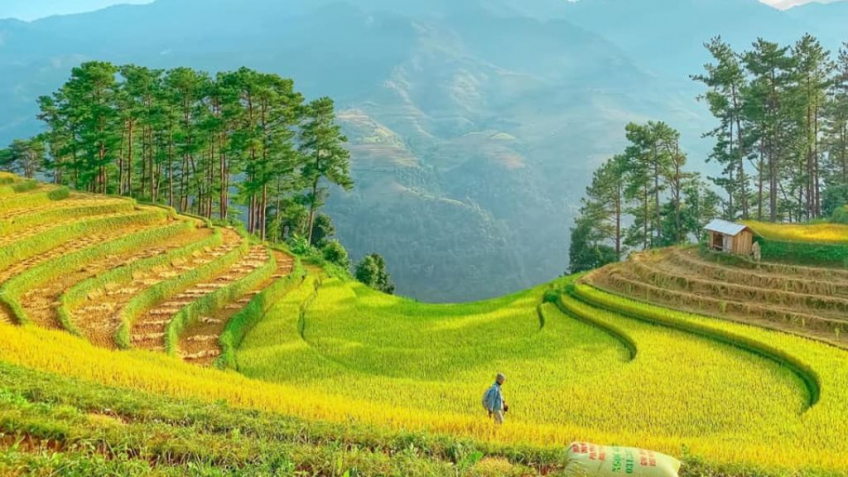 Mù Cang Chải - Đèo Khau Phạ - Tú Lệ - Trạm Tấu 3N2Đ