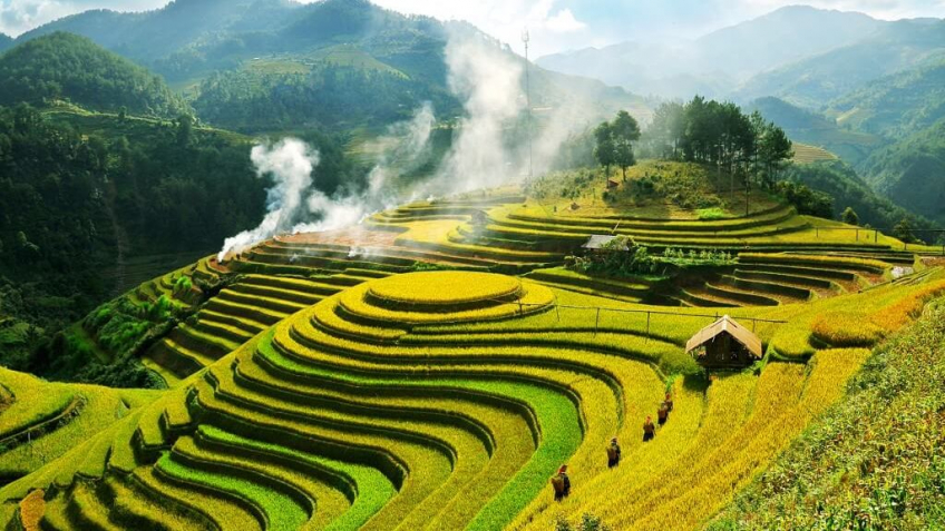 Mù Cang Chải - Đèo Khau Phạ - Tú Lệ - Trạm Tấu 3N2Đ