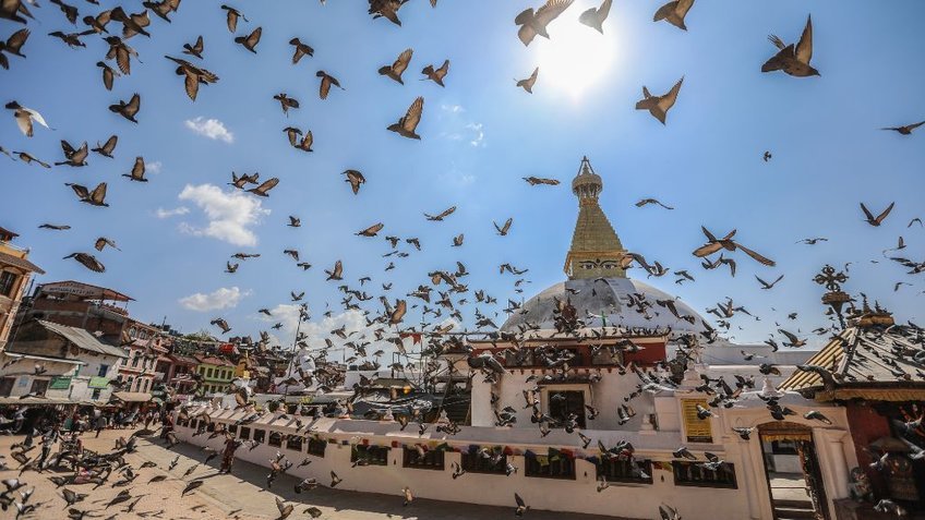 Tour Nepal - Ấn Độ 11 Ngày 10 Đêm | Hành Hương Đất Phật & Khám Phá Taj Mahal