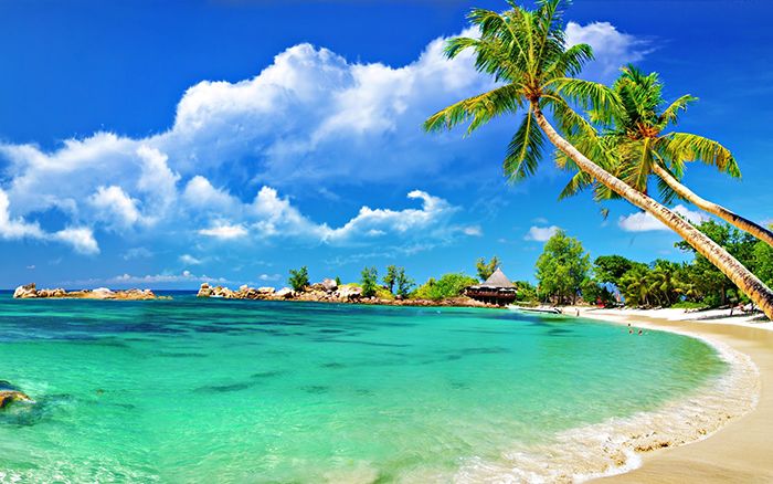 Tour Nha Trang 3 Ngày 2 Đêm Team Building & Gala Dinner | Tour Doanh Nghiệp Trọn Gói Vietpower