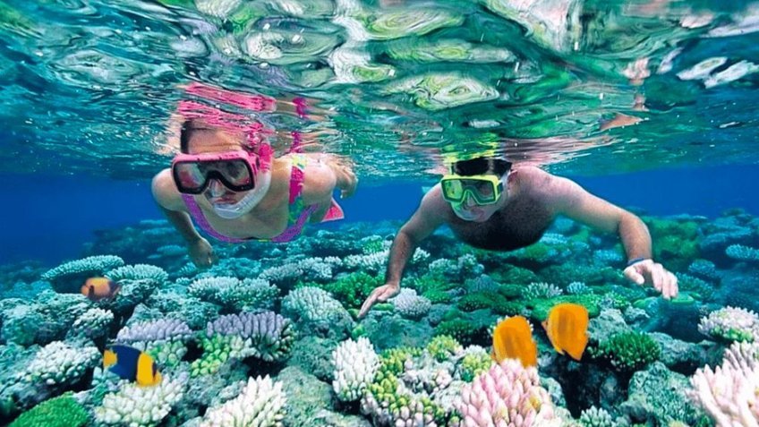 Tour Nha Trang 4 Ngày 3 Đêm | VinWonders – Đảo Hoa Lan – Team Building & Gala Dinner | Vietpower Travel