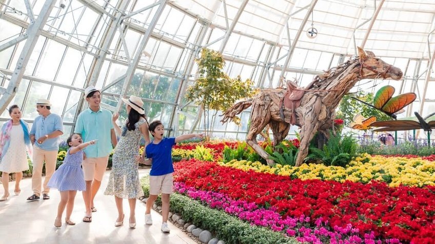 Nha Trang - Phú Yên 4N3Đ: Khám phá nét đẹp miền duyên hải