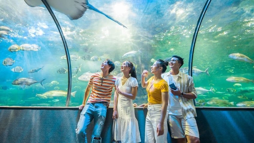 Nha Trang - Phú Yên 4N3Đ: Khám phá nét đẹp miền duyên hải