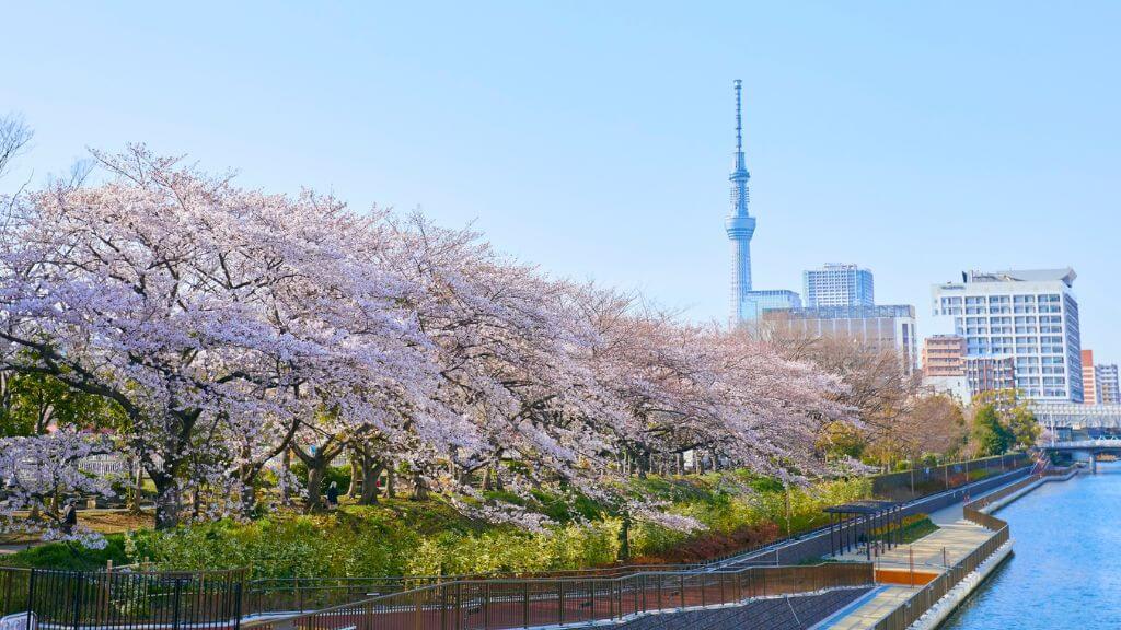 Tokyo Skytree – tháp truyền hình cao nhất Nhật Bản, nổi bật bên dòng sông Sumida thơ mộng
