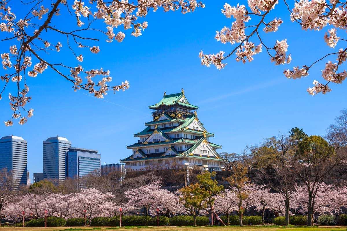 Tour Nhật Bản 6 Ngày 5 Đêm | Osaka – Kobe – Kyoto – Núi Phú Sĩ – Tokyo | Bay Vietjet