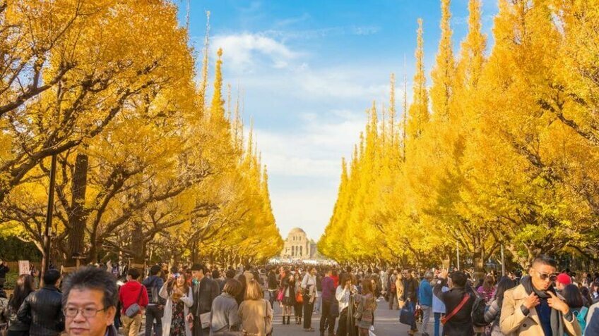 Tour Nhật Bản 5 Ngày 4 Đêm | Tokyo – Núi Phú Sĩ – Tokyo Disneyland Mùa Hè 2026