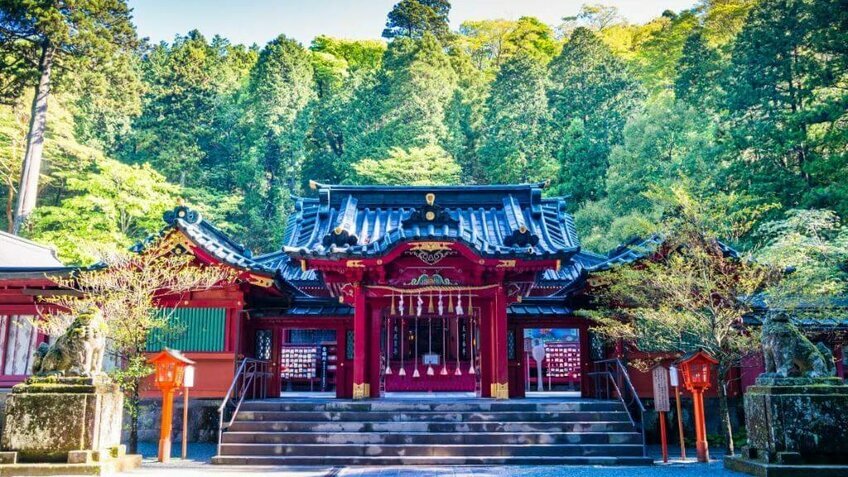 Tour Nhật Bản Tự Túc 5 Ngày 4 Đêm | Tokyo - Núi Phú Sĩ - Narita | Vietpower Travel