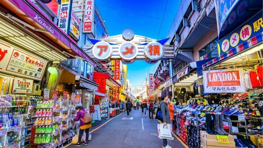 Tour Nhật Bản Tự Túc 5 Ngày 4 Đêm | Tokyo - Núi Phú Sĩ - Narita | Vietpower Travel