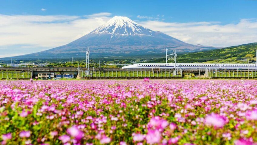 Tour Nhật Bản Tự Túc 5 Ngày 4 Đêm | Tokyo - Núi Phú Sĩ - Narita | Vietpower Travel