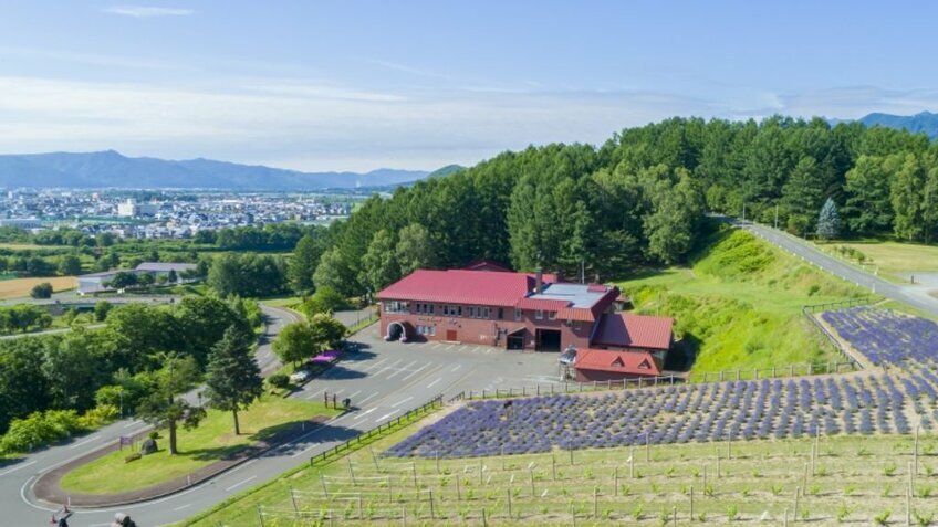 Rực Rỡ Sắc Hoa Lavender: Hokkaido - Asahikawa - Furano - Sapporo - Otaru 6N5Đ| Từ HCM