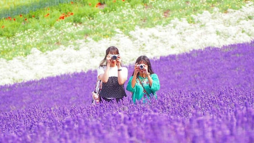 Rực Rỡ Sắc Hoa Lavender: Hokkaido - Asahikawa - Furano - Sapporo - Otaru 6N5Đ| Từ HCM