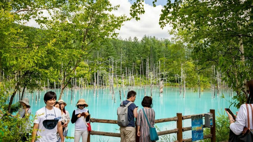 Rực Rỡ Sắc Hoa Lavender: Hokkaido - Asahikawa - Furano - Sapporo - Otaru 6N5Đ| Từ HCM