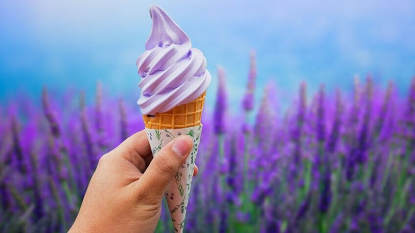Rực Rỡ Sắc Hoa Lavender: Hokkaido - Asahikawa - Furano - Sapporo - Otaru 6N5Đ| Từ HCM