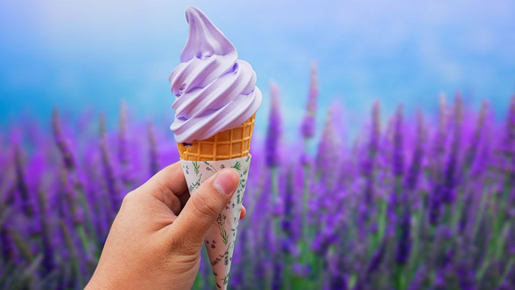 Tặng trải nghiệm thưởng thức kem tươi lavender Hokkaido