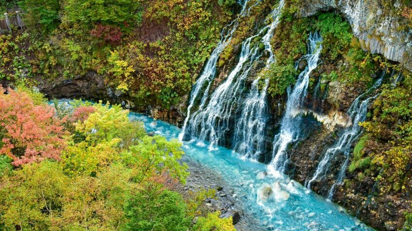 Rực Rỡ Sắc Hoa Lavender: Hokkaido - Asahikawa - Furano - Sapporo - Otaru 6N5Đ| Từ HCM
