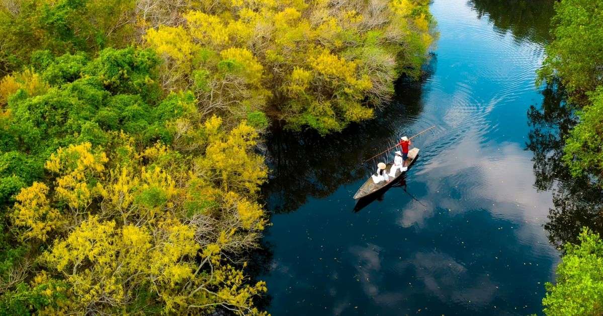 Tour Đoàn Riêng Một Chiều Trên Phá Tam Giang Huế | Khám Phá Rừng Ngập Mặn Rú Chá