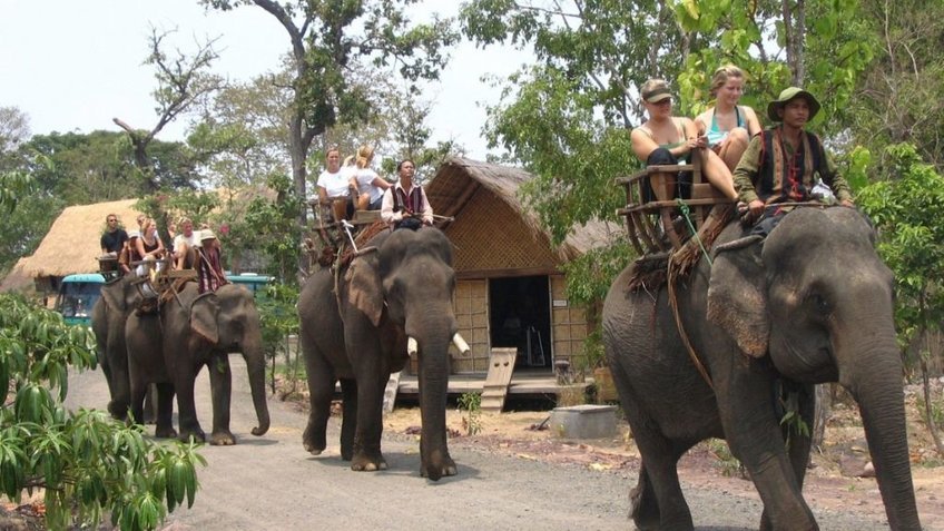Tour Tây Nguyên 4 Ngày 3 Đêm | Hà Nội – Pleiku – Buôn Ma Thuột Mùa Hoa Cà Phê