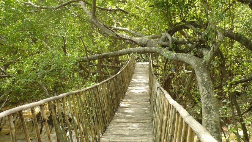 Tour Tây Nguyên 4 Ngày 3 Đêm | Hà Nội – Pleiku – Buôn Ma Thuột Mùa Hoa Cà Phê