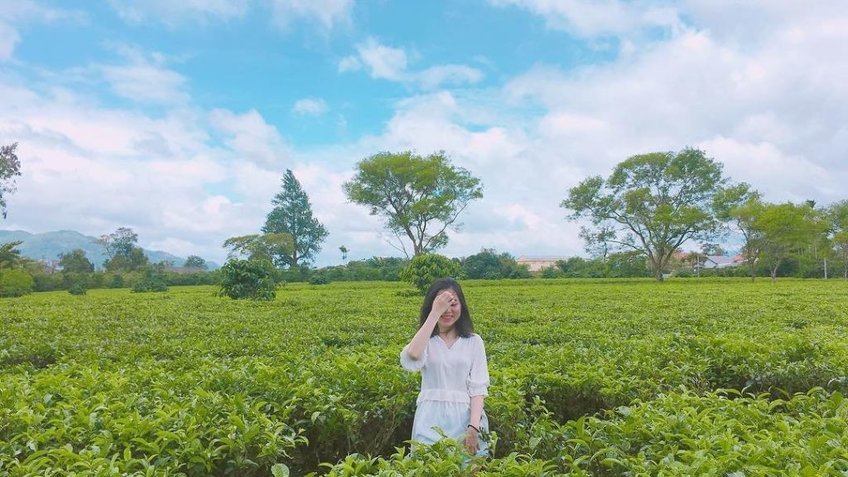 Tour Tây Nguyên 4 Ngày 3 Đêm | Hà Nội – Pleiku – Buôn Ma Thuột Mùa Hoa Cà Phê